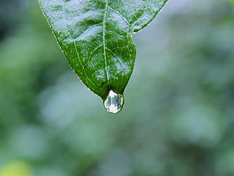 墨西哥亡灵节<br>qyw0fsis.cn 万寿菊桥归途